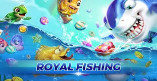 koko5000 slot featured game showcase